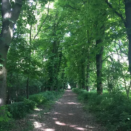 Ponteo - Activity Park Hotel