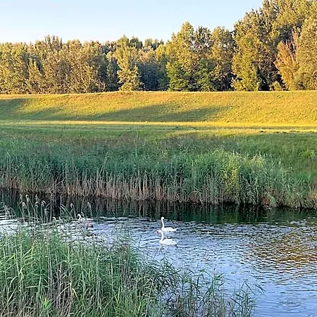 فندق Ponteo - Activity Park