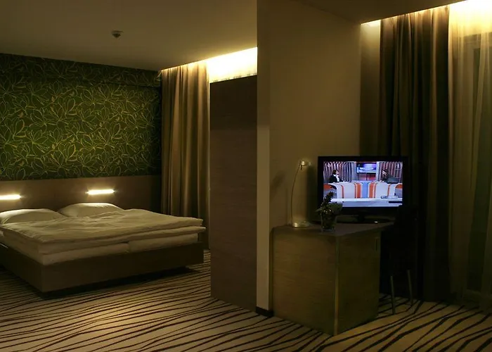 Ponteo - Activity Park