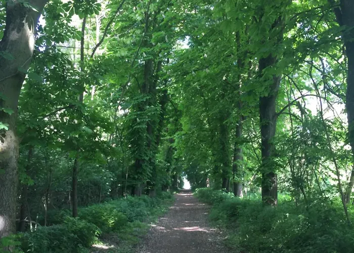 Ponteo - Activity Park Отель